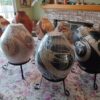 Juan Quezada Collection